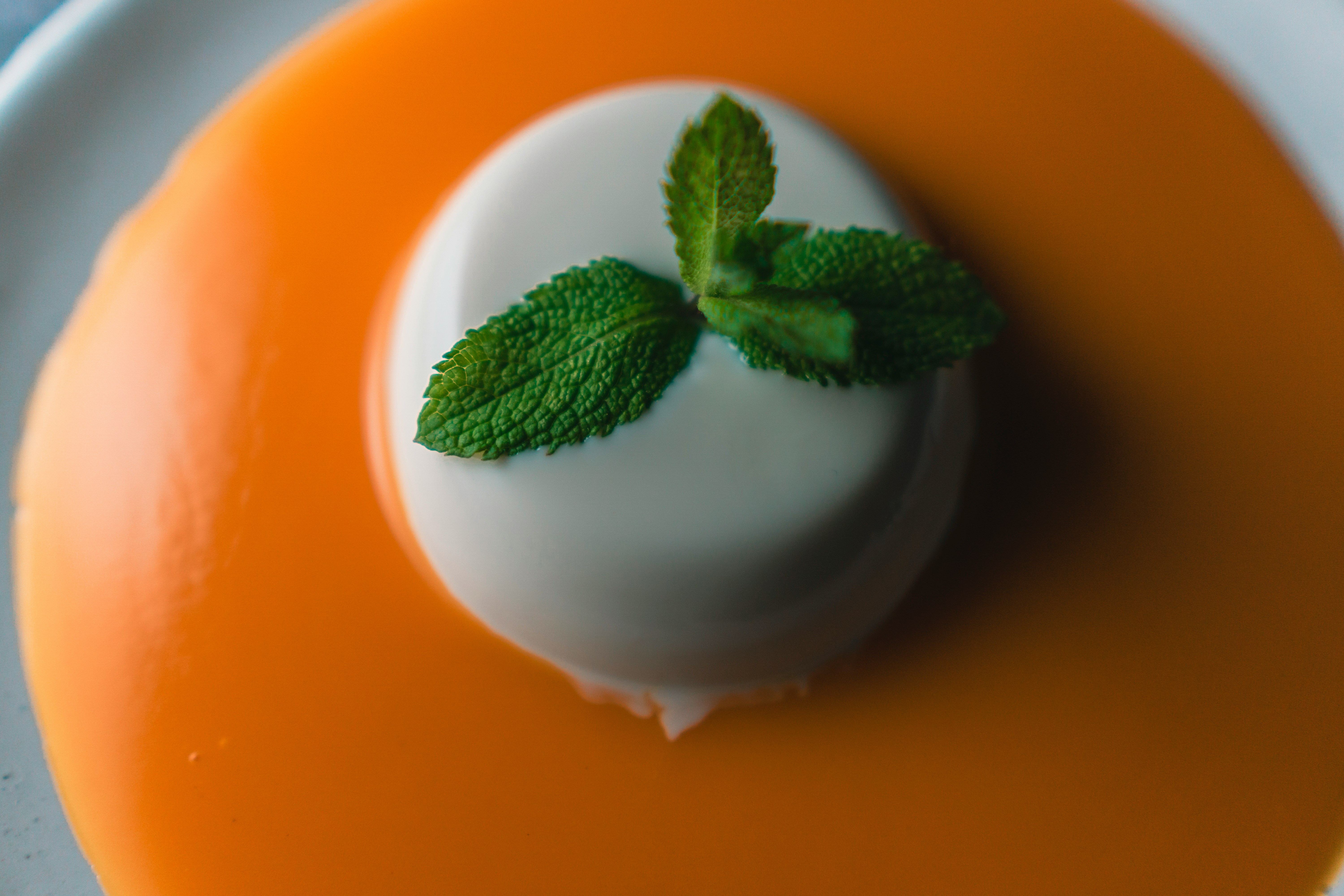 Panna Cotta with Mango Coulis